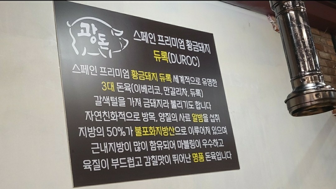 광돈 이미지