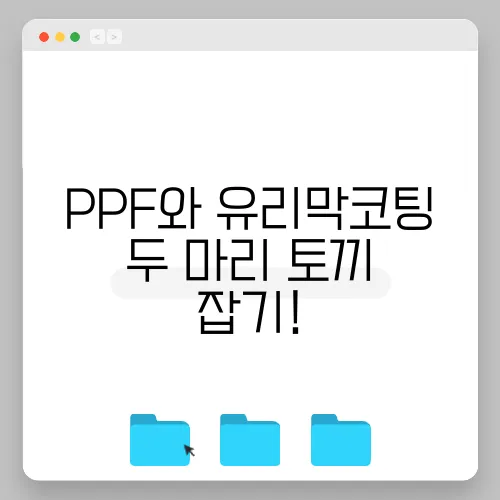 PPF와 유리막코팅 두 마리 토끼 잡기!
