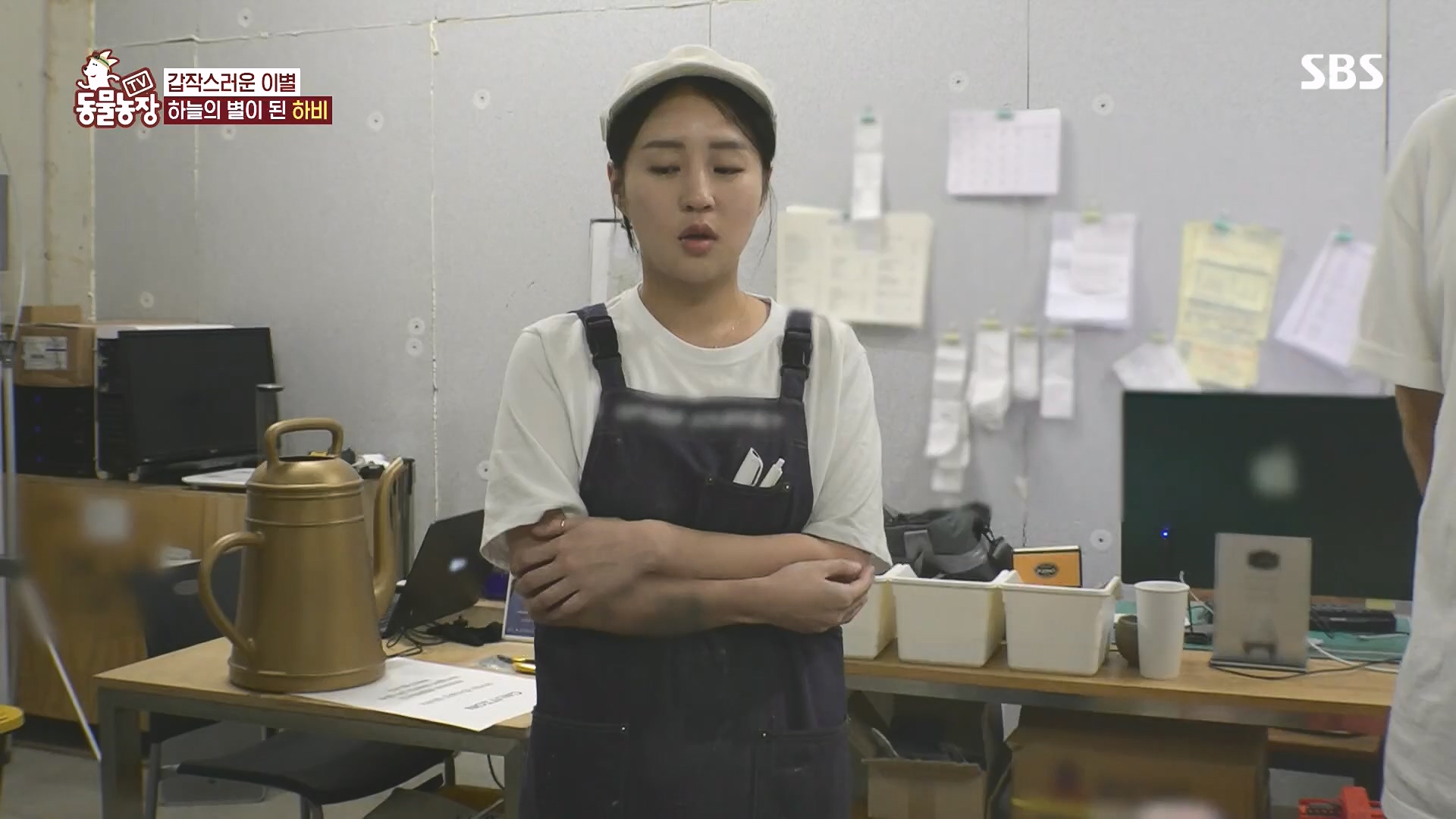TV 동물농장.E1182.240728p.H264-F1RST.mp4_20240728_152525.278.jpg