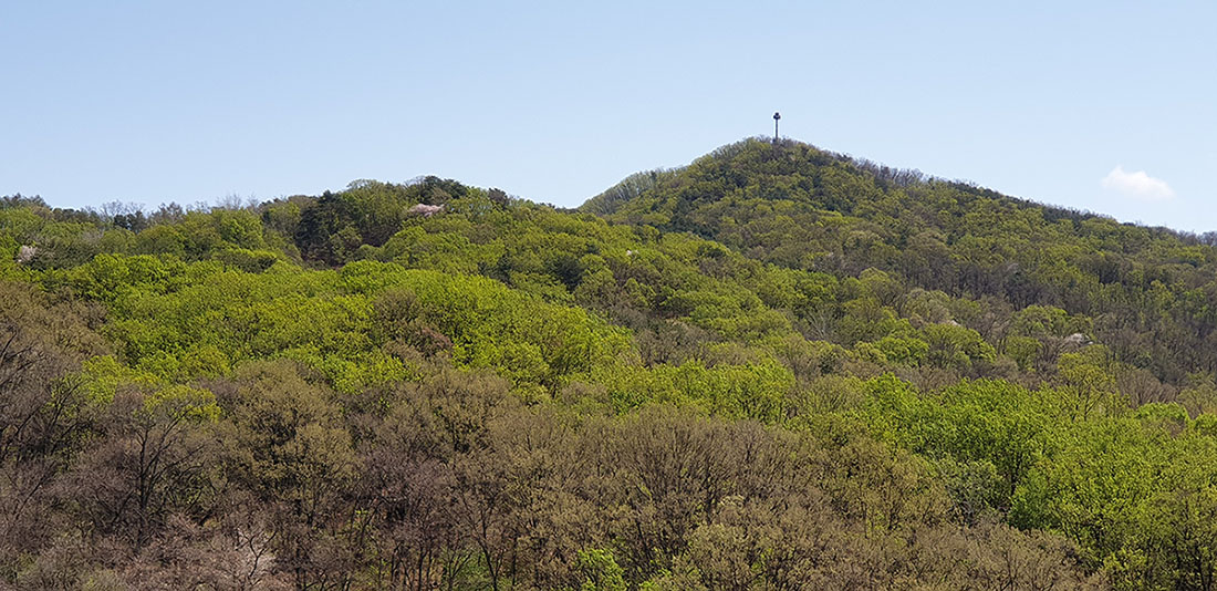  미국 주식과 친해지기, 세상의 절반