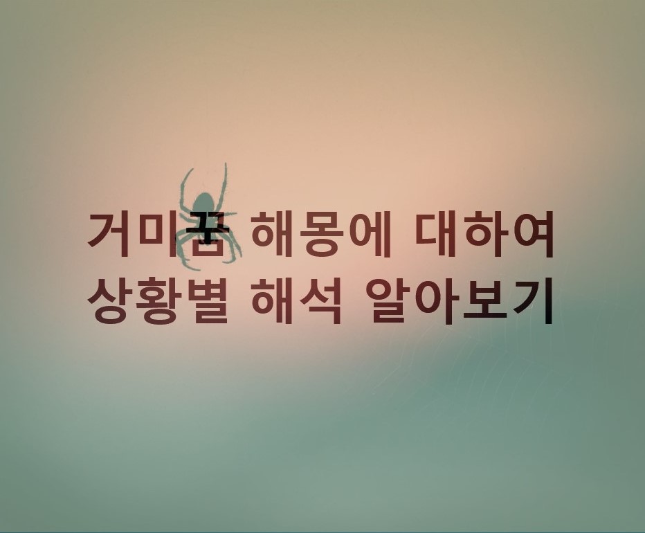  거미 꿈 해몽에 대하여 상황별 해석 알아보기