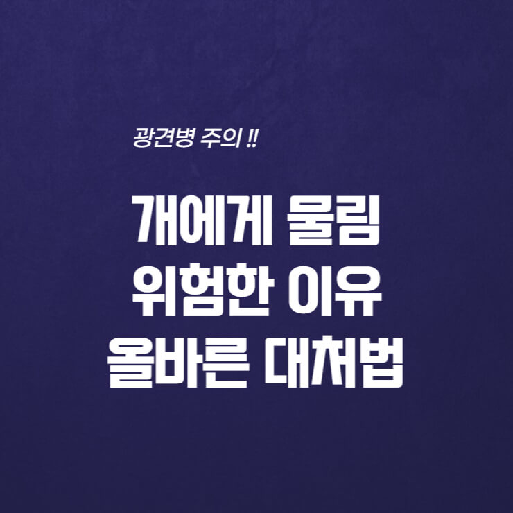  개에게 물린 것이 정말 위험한 이유, 올바른 대처법