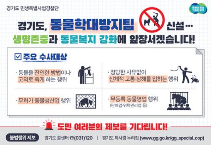 반려동물 관련 소식 2