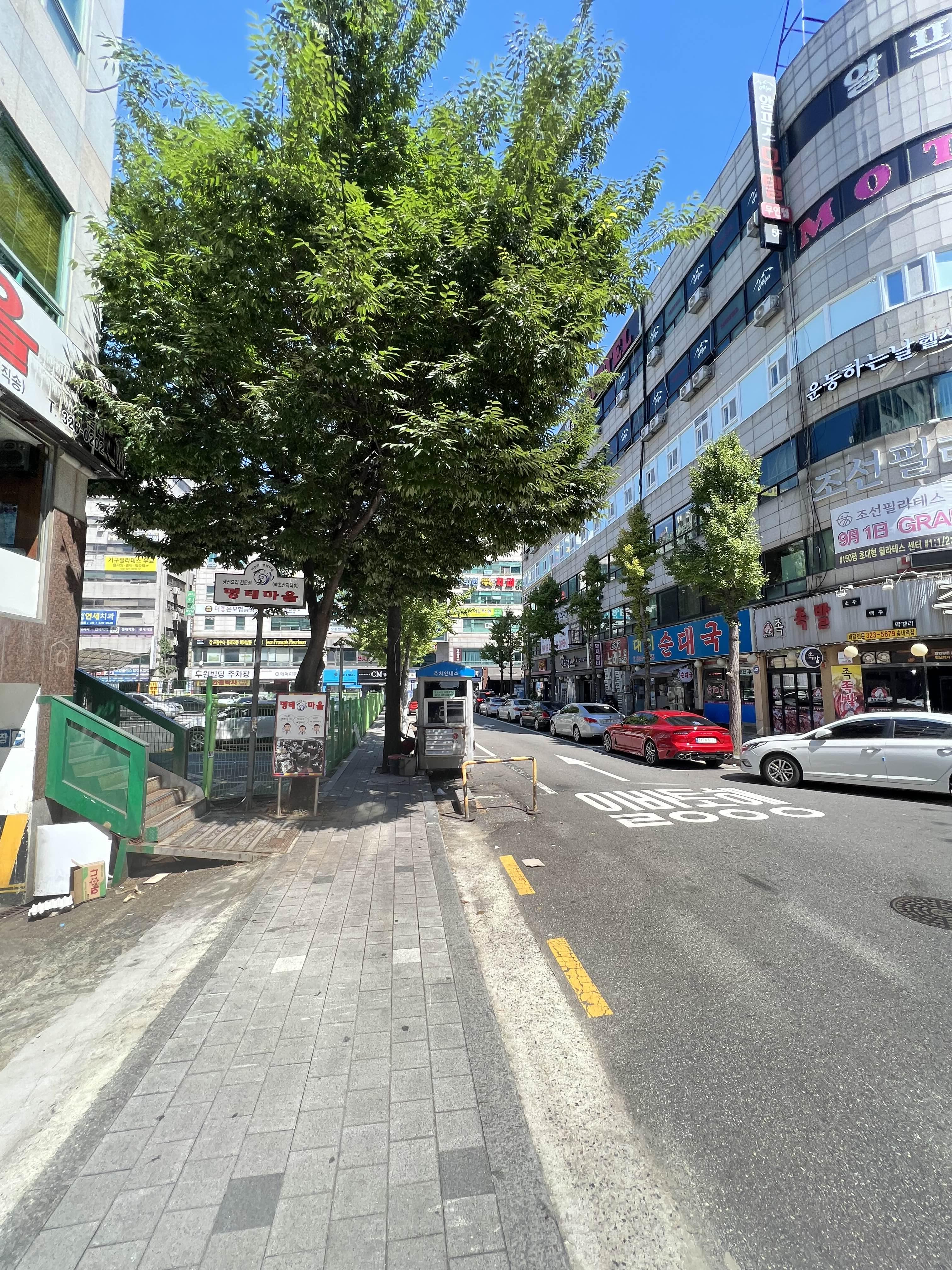 대치순대국 이미지