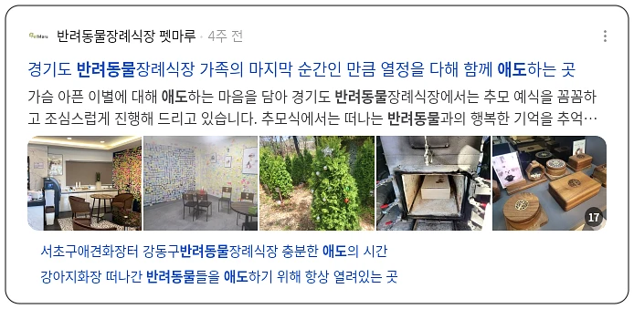 반려동물 애도_3_subsection
