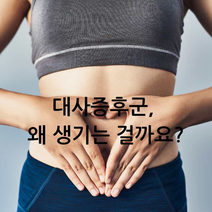 대사증후군 증상&amp;#44; 211 식단