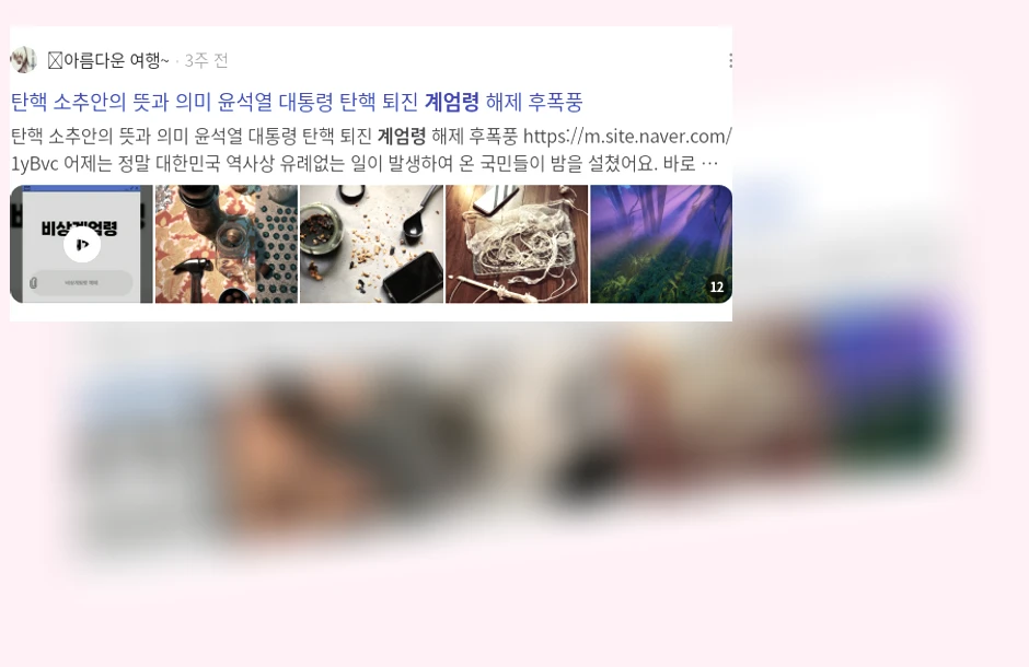 계엄령_2_subsection