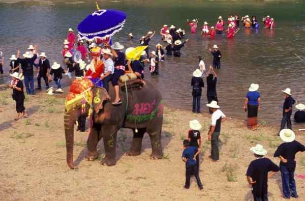 핫 시아오 코끼리 득도식 (Hat Siao Elephant Ordination Ceremony)