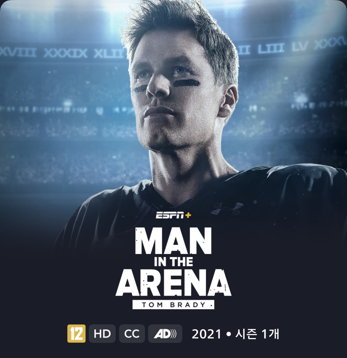 MAN IN THE ARENA(경기장의 투사)