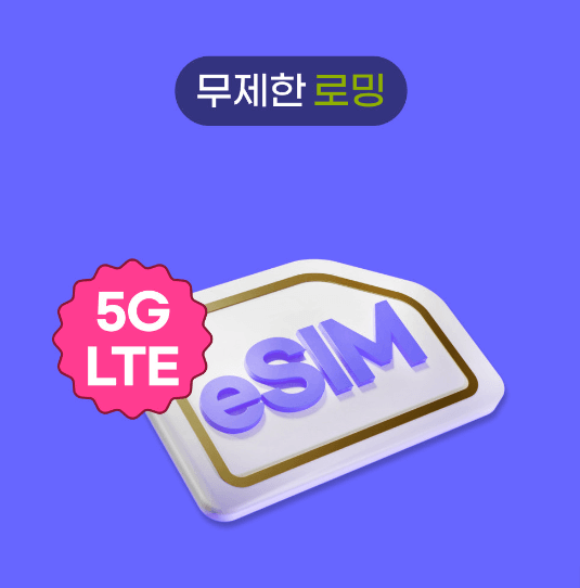  eSIM에 대해 알아보기 (개통 가능한 폰, 개통장점, 유의사항)