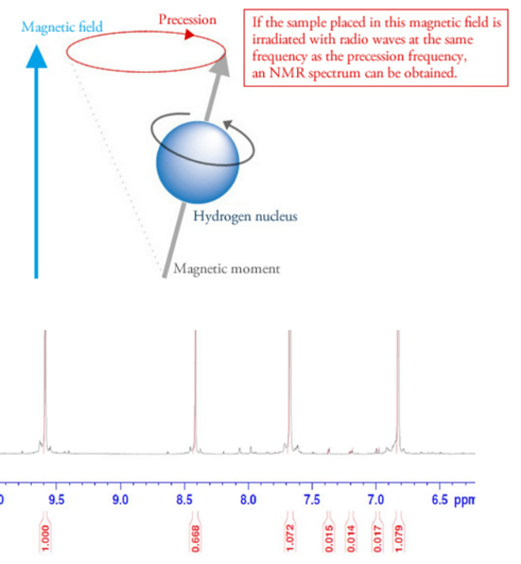 NMR의 일반적인 데이터 모양