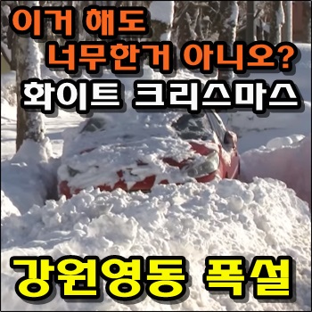  폭설로 눈덩이처럼 커진 눈피해 발생한 강원 영동