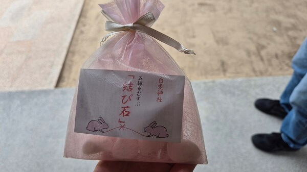 돗토리 여행 🐪 하쿠토 신사(白兎神社)