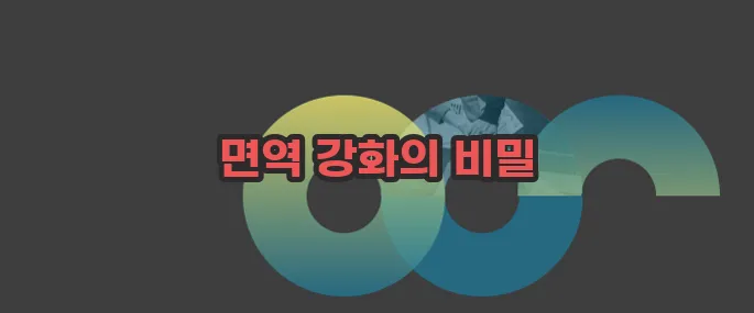 능이버섯 효능 한번 정확하게 알아보도록 하죠
