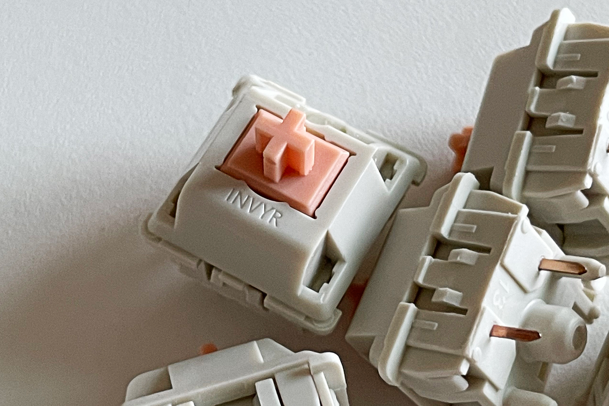 바로몰 이미지