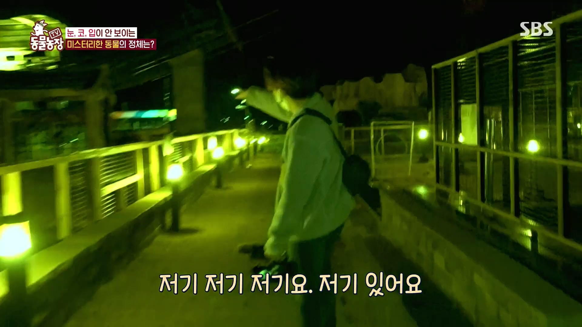 TV 동물농장.E1100.221218p.H264-F1RST.mp4_20221218_183443.785.jpg