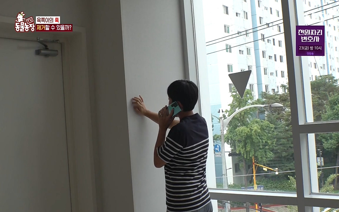 TV 동물농장.E1087.220919p-NEXT.mp4_20220918_180236.241.jpg