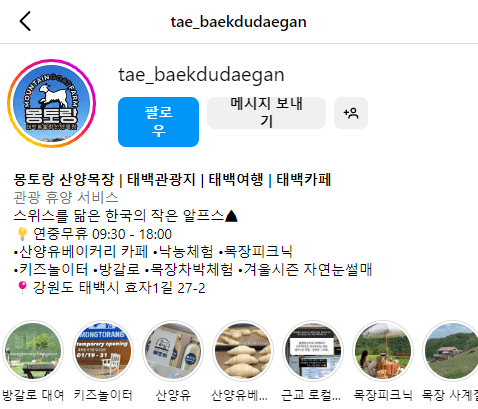 태백 가볼만한곳