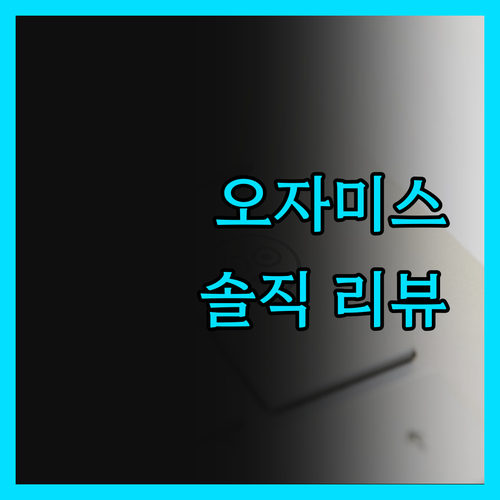 아시아 노소 부티크 호텔 오자미스 솔