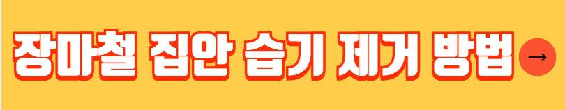 호우경보 호우주의보 차이 발령 기준 대응 방법