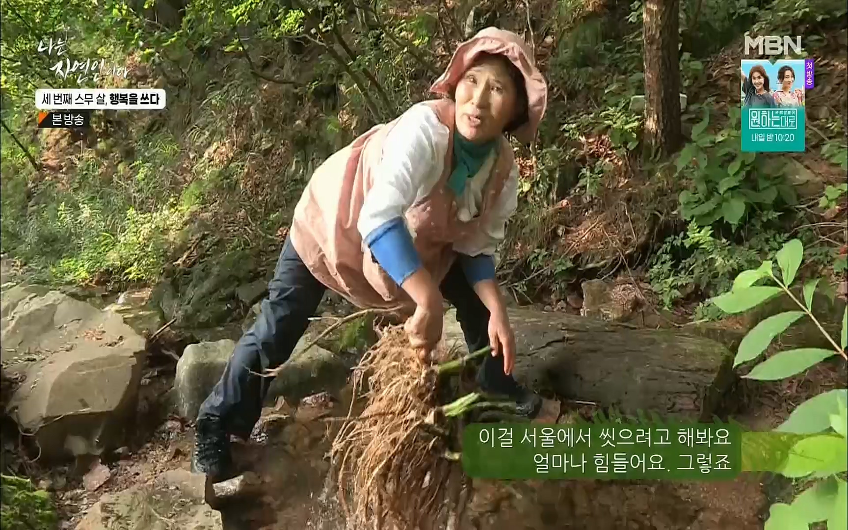 나는 자연인이다.E516.220824p.H264-F1RST.mp4_20220825_164143.830.jpg