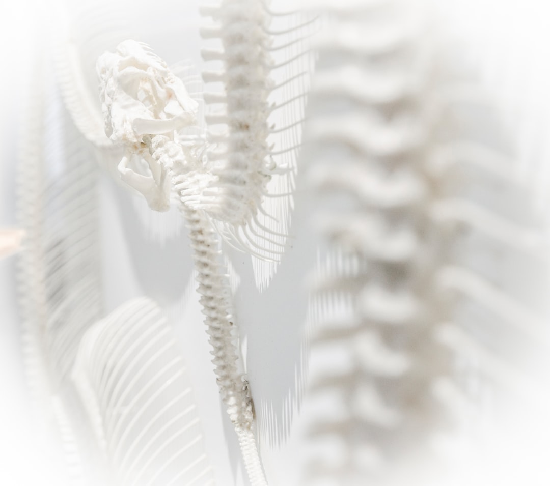 Bone