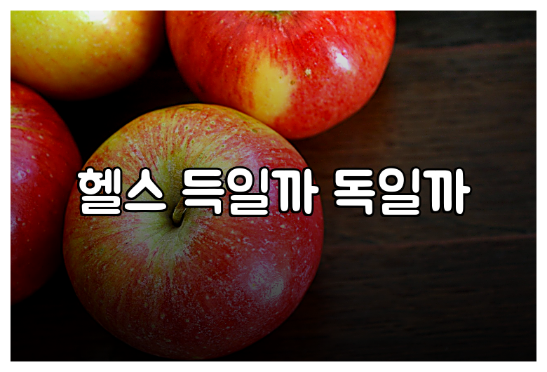 헬스 득일까 독일까