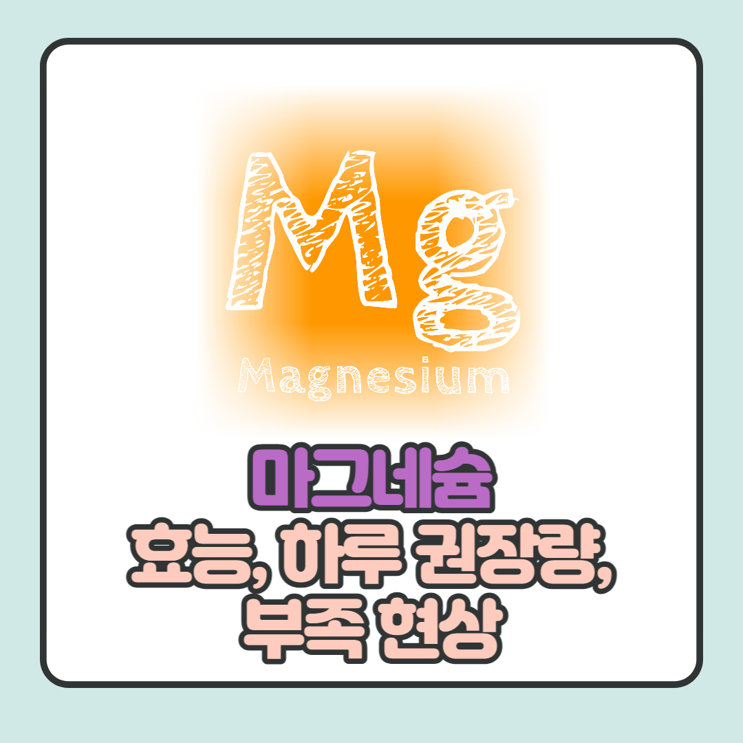 마그네슘-효능-하루-권장량-부족-현상