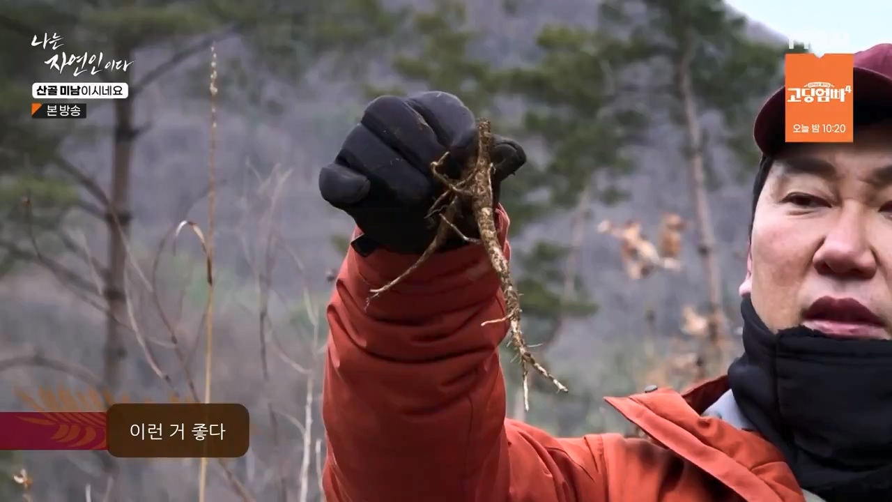 나는 자연인이다.E592.240208p-NEXT.mp4_20240208_193238.287.jpg