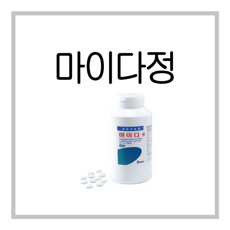 마이다정-이미지