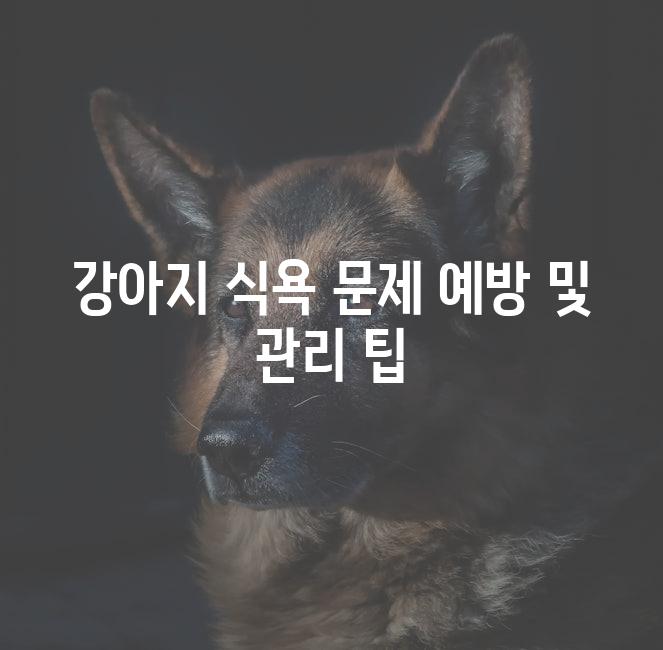 강아지 식욕 문제 예방 및 관리 팁