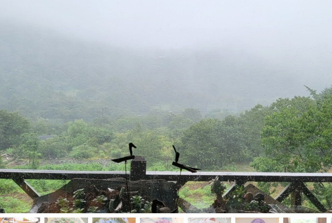 남겨서뭐하게 청도 보양한상