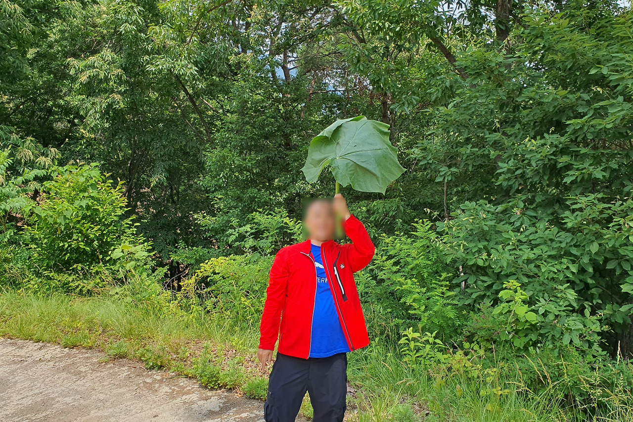 제이티 이미지