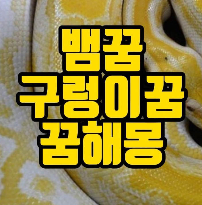  [꿈해몽] 뱀꿈,구렁이꿈,백사꿈 관련 꿈풀이 55선