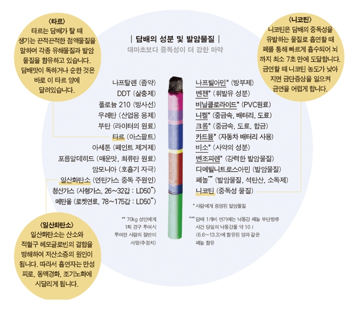 [담배 성분]
