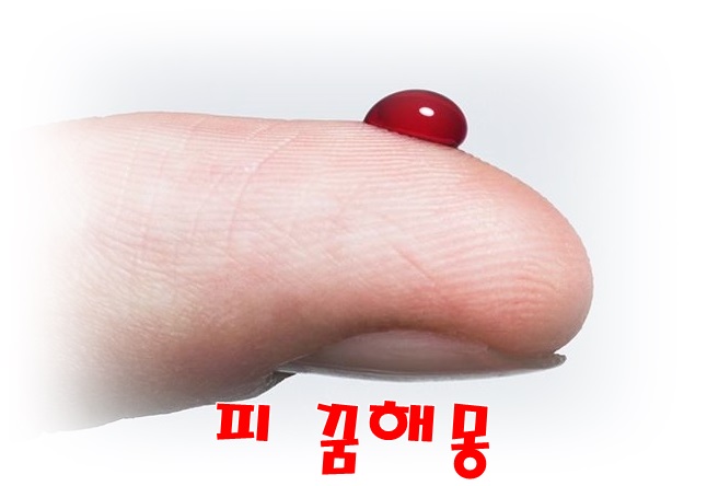  [무료꿈해몽]피(血) 꿈-피 꿈,피흘리는꿈,피 토하는 꿈,동물 피 꿈;예수,부처,피눈물꿈,호랑이에게물려피나는꿈,개에게물린꿈 등