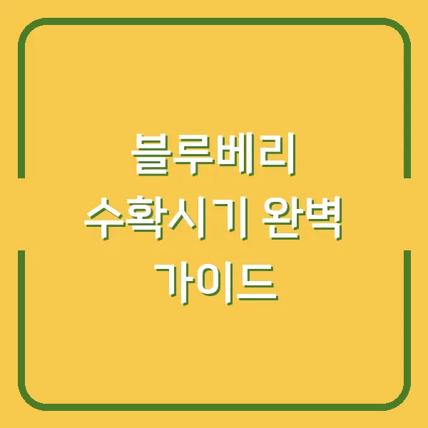 블루베리 수확시기 완벽 가이드