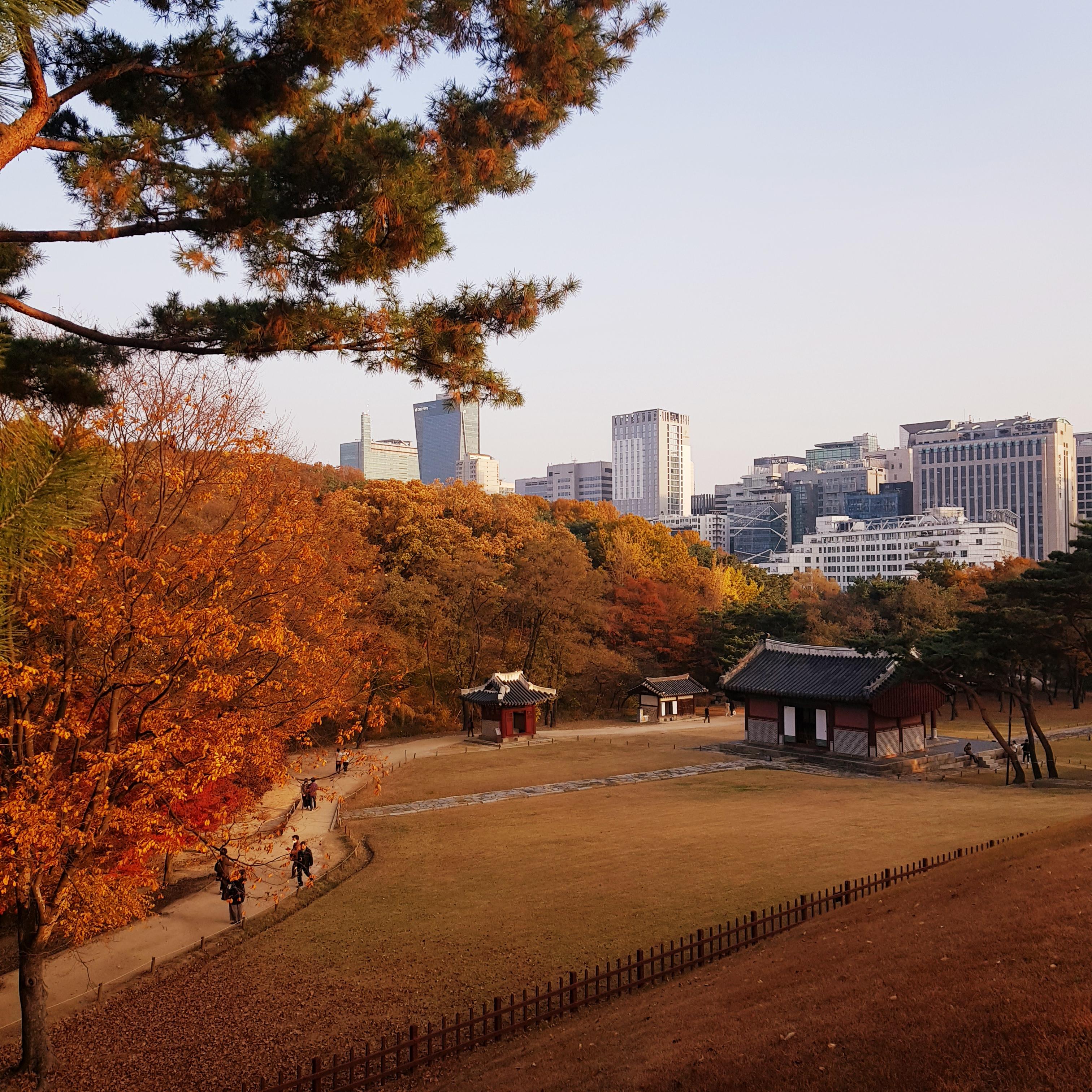 서울 도심속(강남 삼성동) 산책로 선릉과 정릉