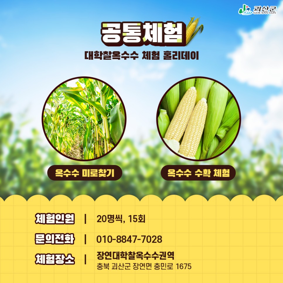 옥수수와 옥수수 가루 추억 // 손자에게 보내는 편지 (제375호) 9