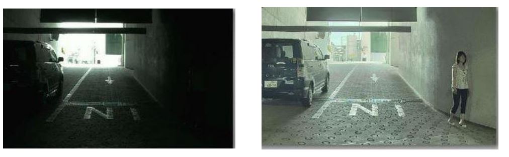  자율주행 관련 대장주 (ft. 테슬라 관련주, 자율주행 관련주)