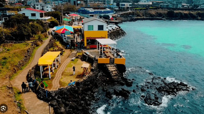 제주도 여행 카페