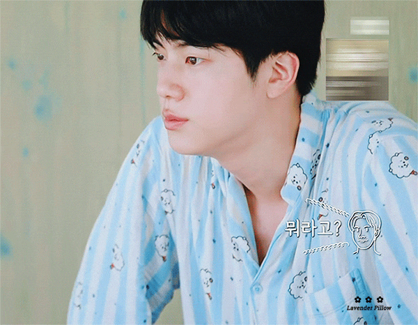  BTS 방탄소년단 In The Soop 석진.GIF