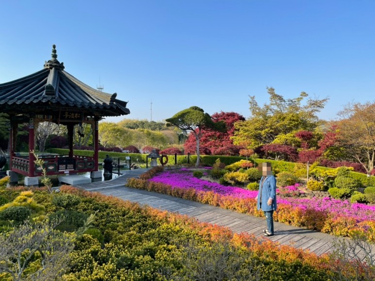 세종 가볼만한곳세종 가볼만한곳베어트리파크 11