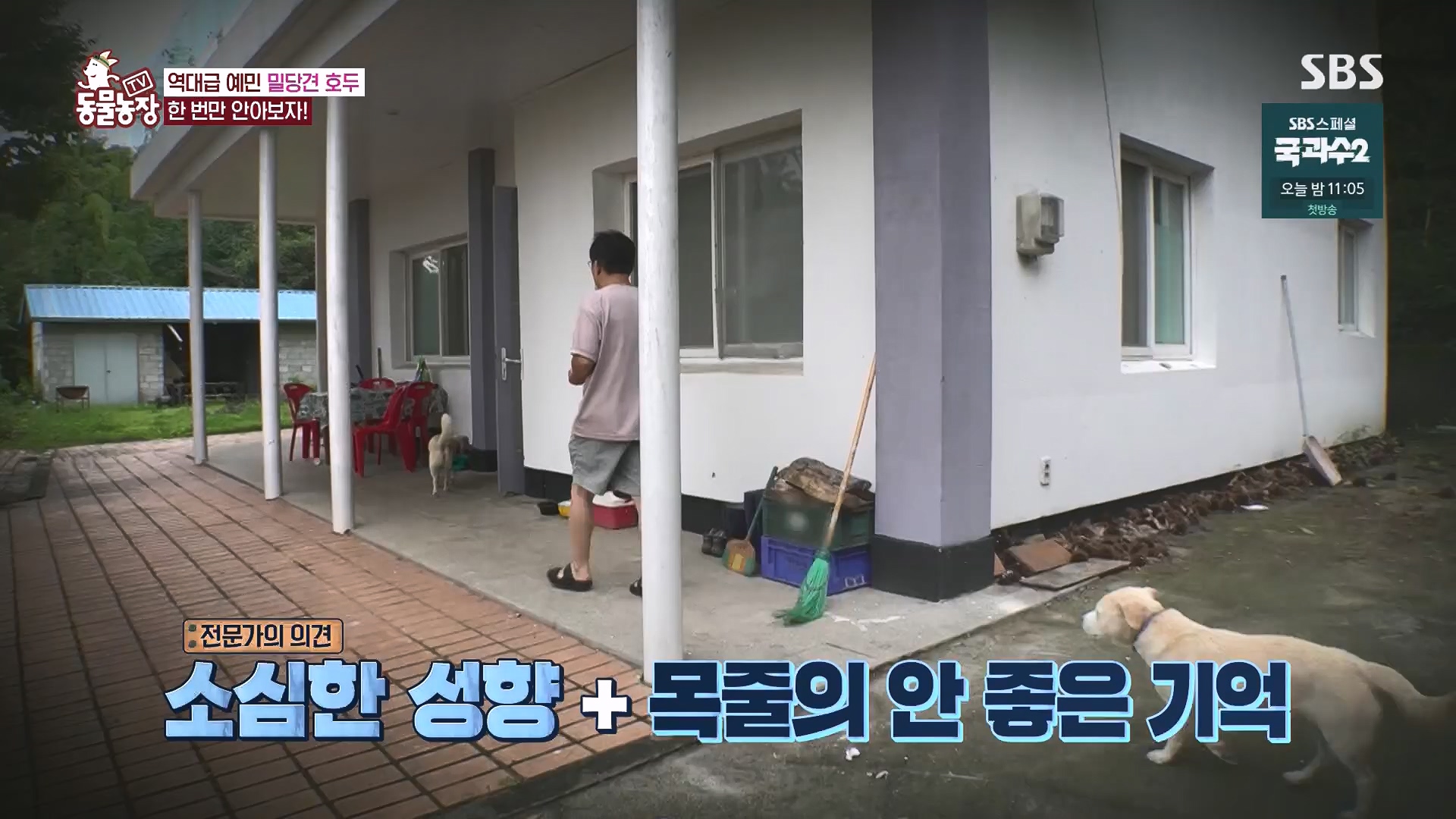 TV 동물농장.E1136.230903p.H264-F1RST.mp4_20230903_180347.616.jpg