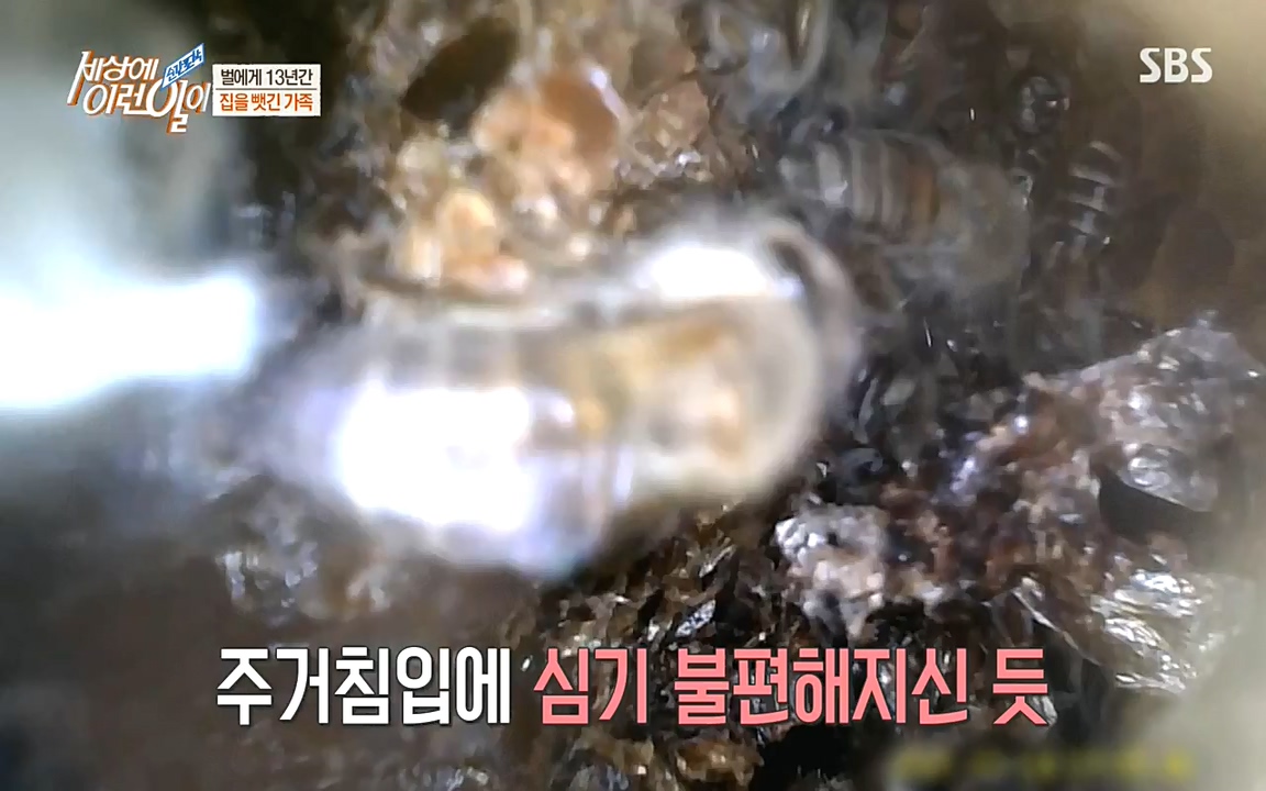 순간포착 세상에 이런일이.E1183.220608p-NEXT.mp4_20220608_201636.588.jpg