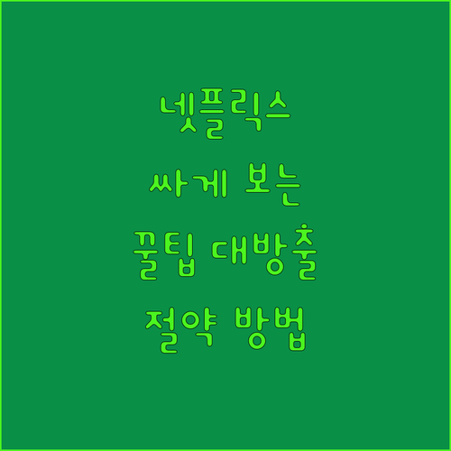 넷플릭스, 비싸게 보지 마세요! 저렴