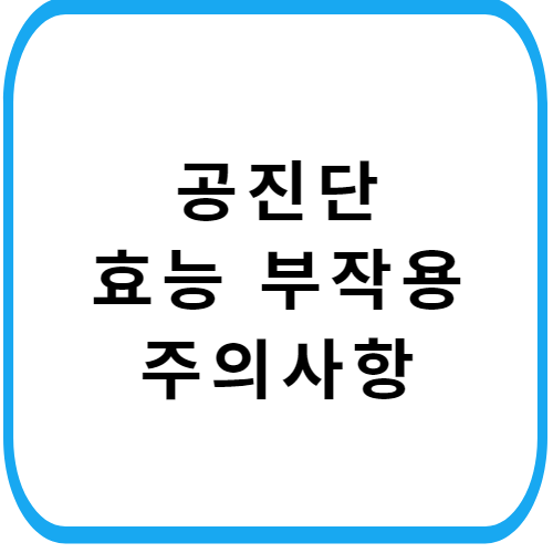 공진단-가격-주의사항-썸네일