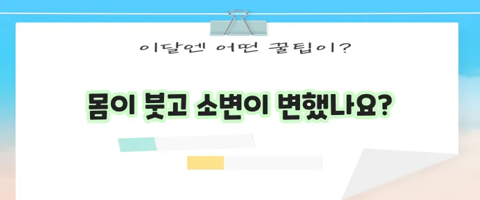 콩팥이 안 좋으면 어떤 증상이 나타날까요?