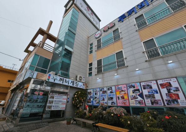 여수 맛집 추천 로컬맛집 베스트 10, 여수 여행가면 꼭 가볼 현지인 추천맛집