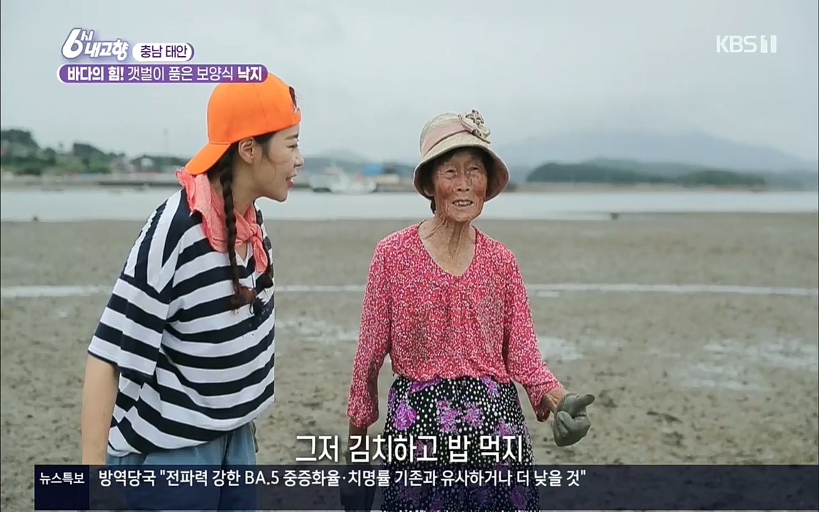 6시 내고향.E7596.220813p.H264-F1RST.mp4_20220814_180542.321.jpg